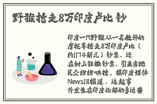黄色天堂软件